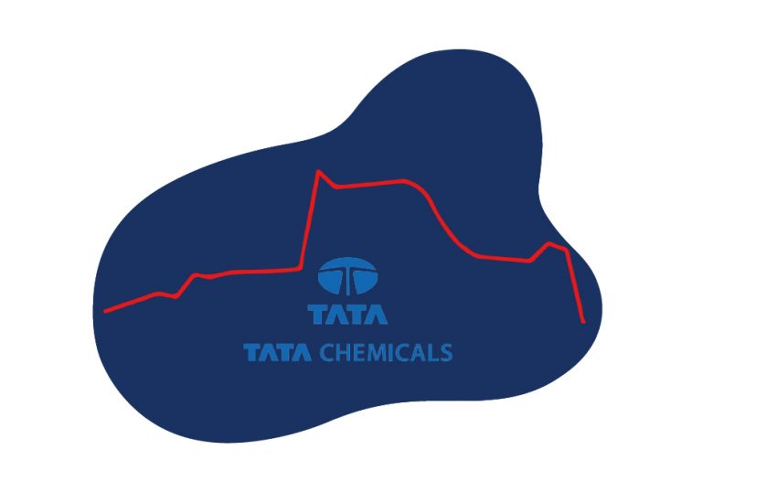 Why Did Tata Chemicals Fall in 2021?