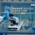 Mankind Pharma Surges 3.9% as Company Launches Rs 3,000 Crore QIP